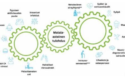 Mitä on elämäntapalääketiede?